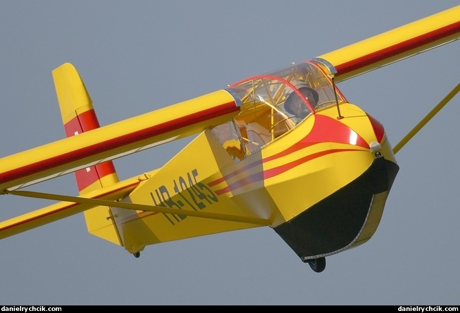 Rhenlerche II (RC model)