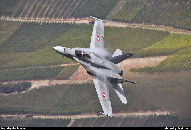 McDonnell-Douglas F/A-18C Hornet (Swiss Air Force solo display)