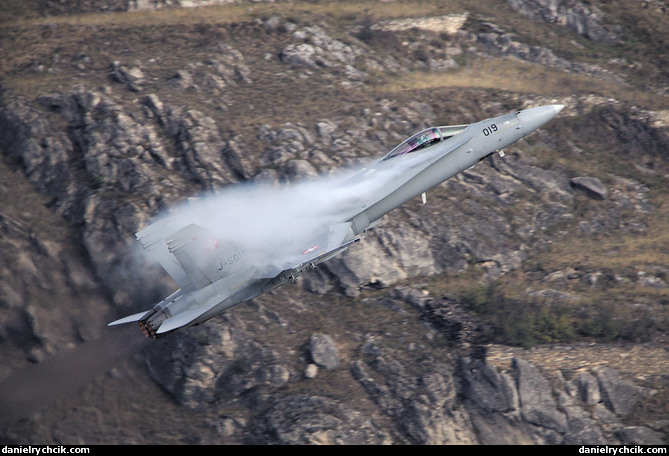 McDonnell-Douglas F/A-18C Hornet (Swiss Air Force solo display)