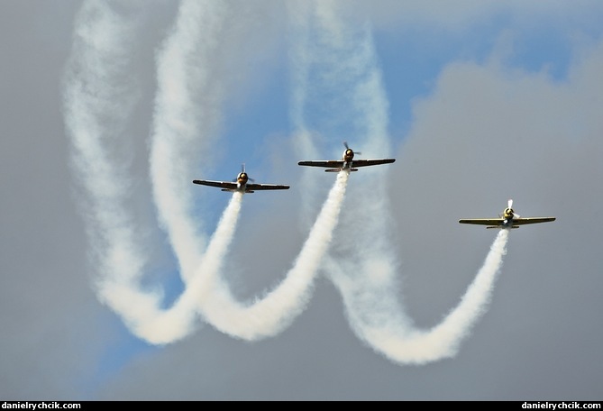 Yakovlev Yak-52TW
