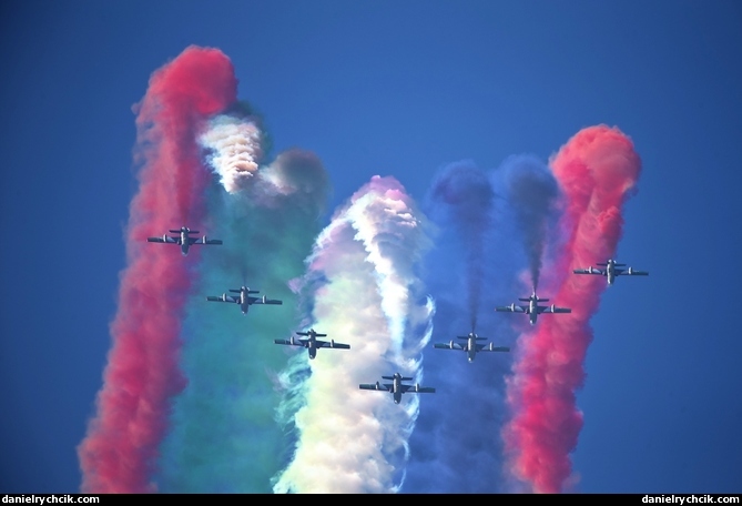 Al Fursan aerobatic team