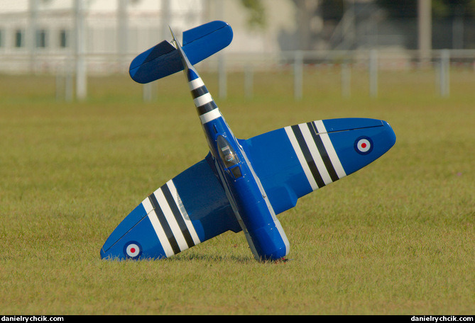 Hawker Sea Fury (RC model)