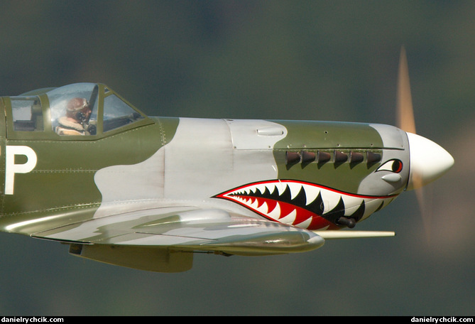 Spitfire Mk.8 