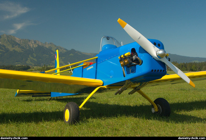 Volksplane VP-1