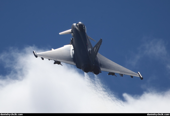 Eurofighter Typhoon (German Air Force)