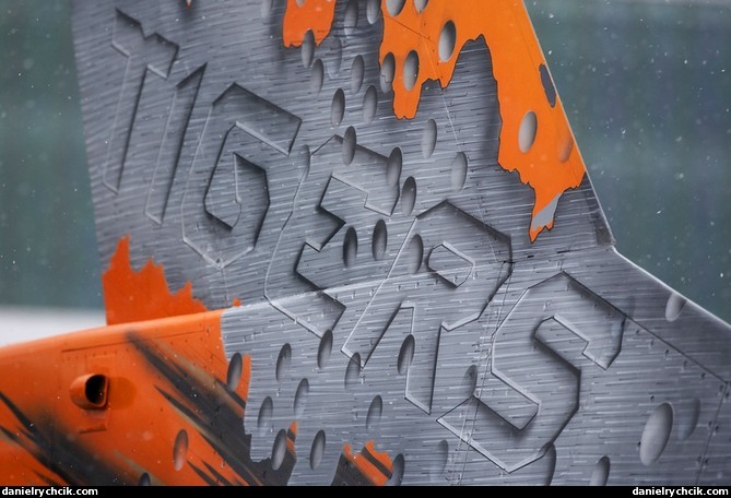 Belgian F-16C decoration