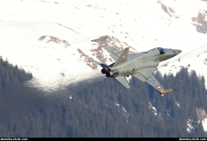 Northrop F-5E Tiger II
