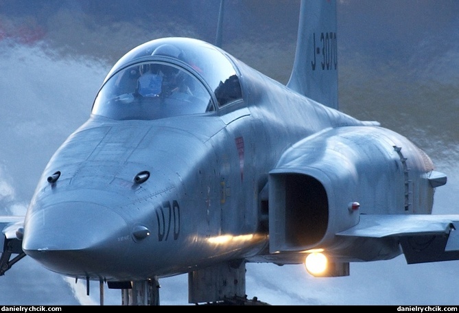 Northrop F-5E Tiger II