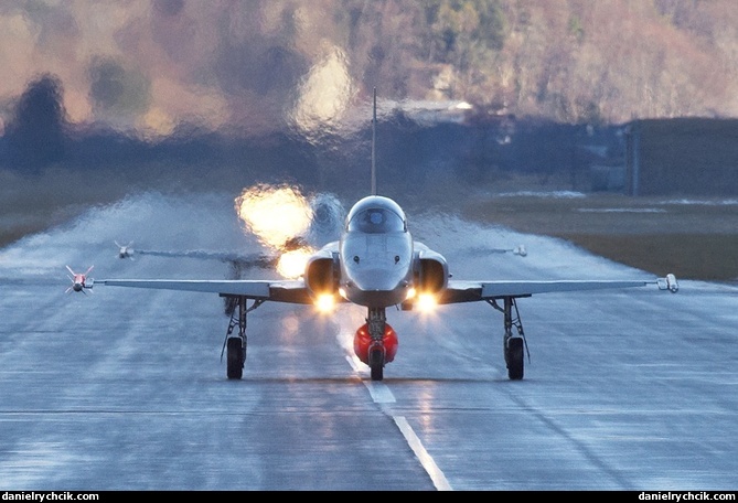 Northrop F-5E Tiger II