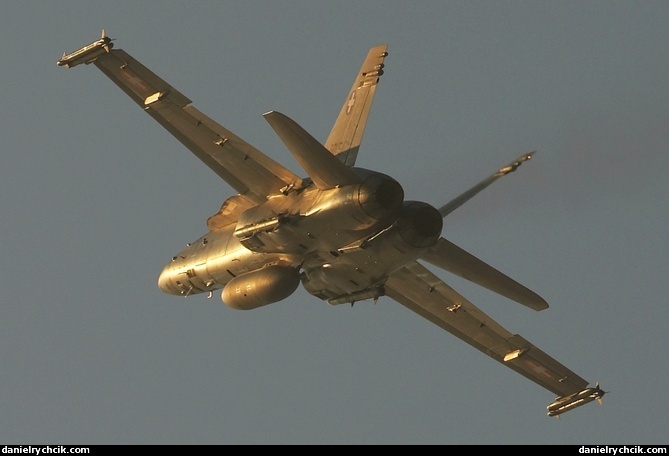 McDonnell Douglas F/A-18C Hornet