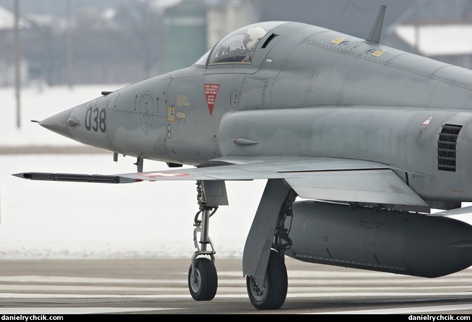 Northrop F-5E Tiger