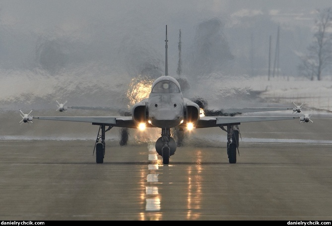 Pair of F-5E Tigers on the way to takeoff