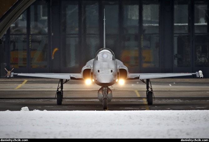 Northrop F-5E Tiger