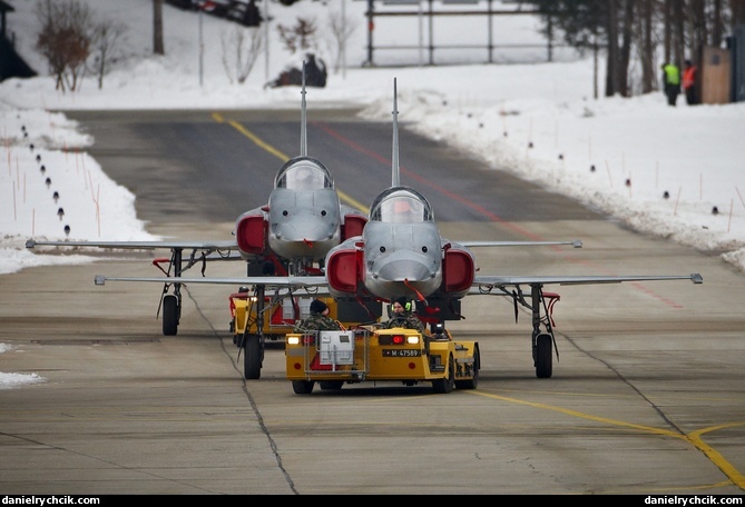 Northrop F-5E Tiger
