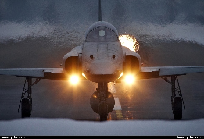 Northrop F-5E Tiger