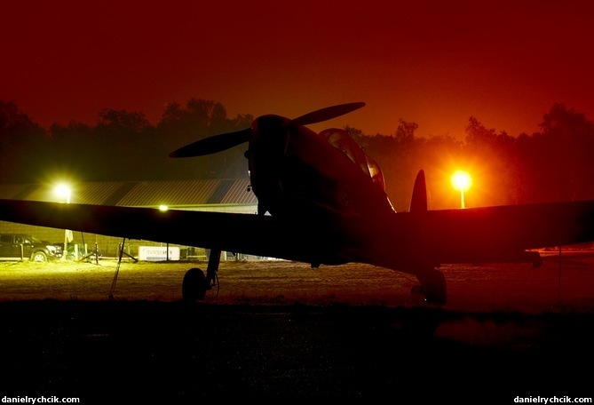Chipmunk in the night